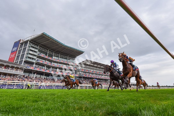 230825-Race 7-Dain Ma Nut In-0001 - Race 7 5.20pm Sky Bet Steve Birch Finale Handicap