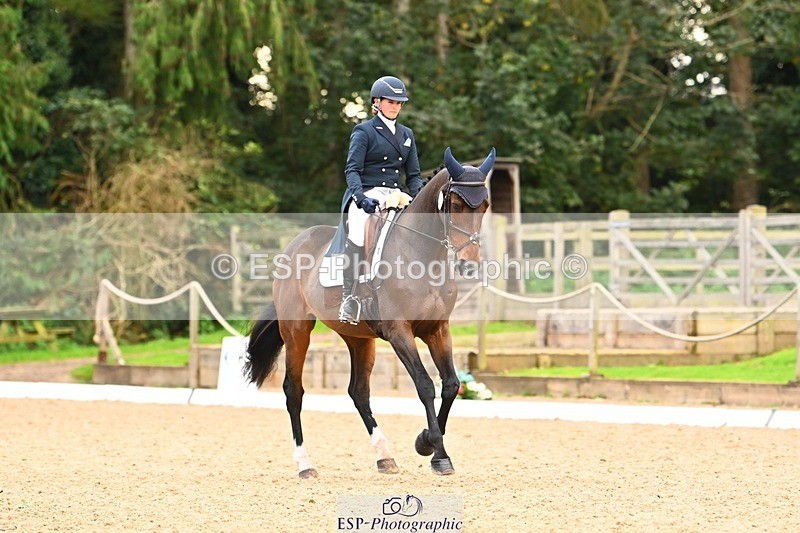 231020-150320-10067 - 312-HALVANNA.THE.LAST.SONG-Holly.Horton-DR