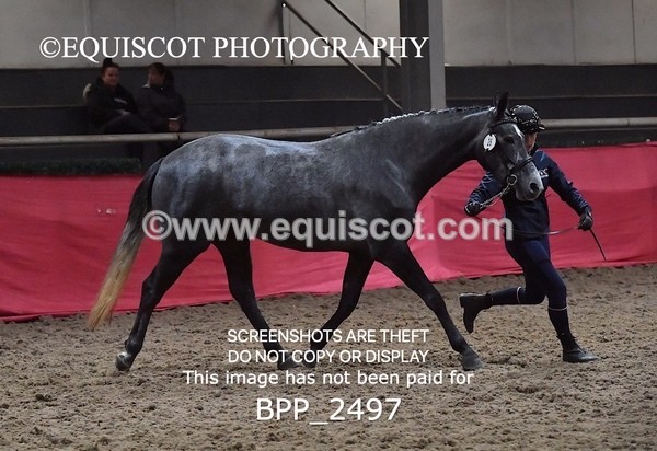 BPP_2497 - LOOSE JUMPING / SPSS