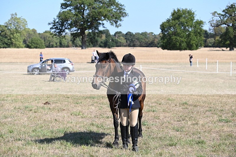 WJ6_7667 - Class 34 Judges Choice