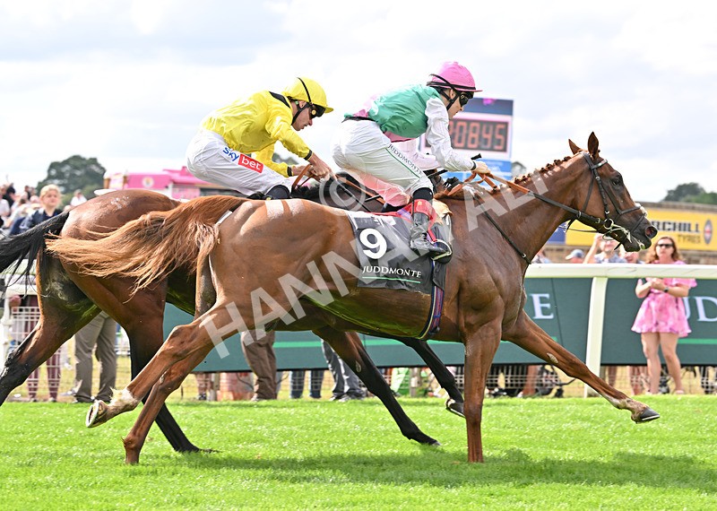 190826-135 Item - Race 4 15.35pm Juddmonte International Stakes