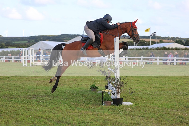 3E7A4902 - Class C1: Showjumping Senior Newcomers/1.10m open