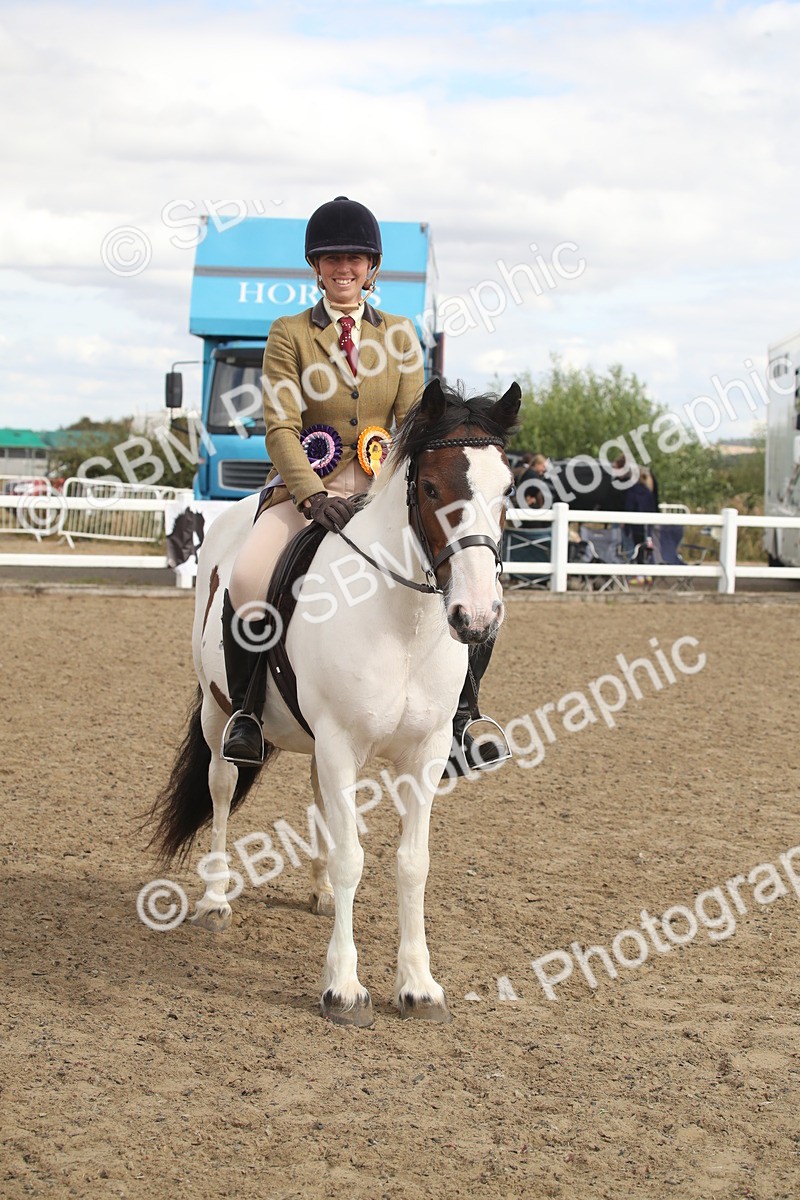 SBM_15252 - Class 506a - Working Veteran - 50cm (15-19)