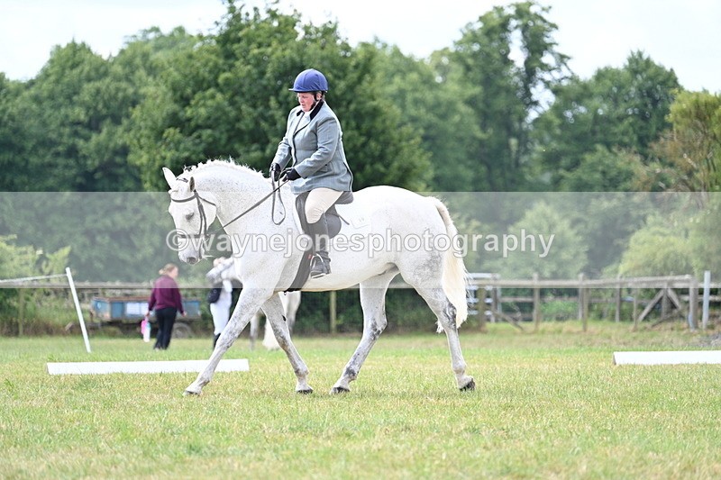 WJ7_5006 - Time 11:22 to 11:51