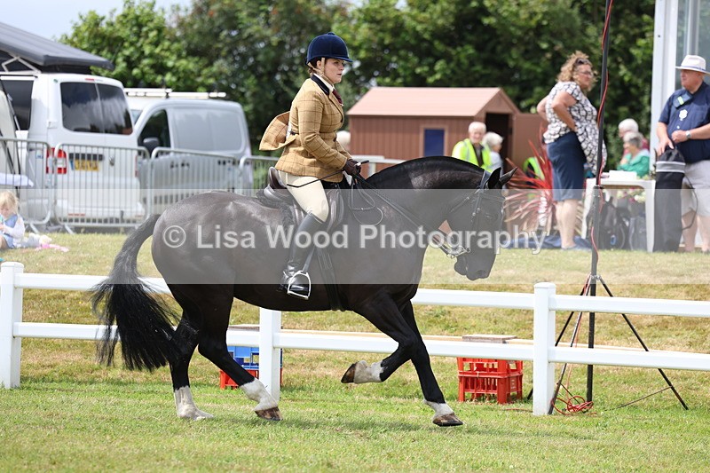 3E7A1921 - Class 10: Open Cob
