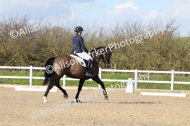 20260314-5042 - CT6 - Elementary 1