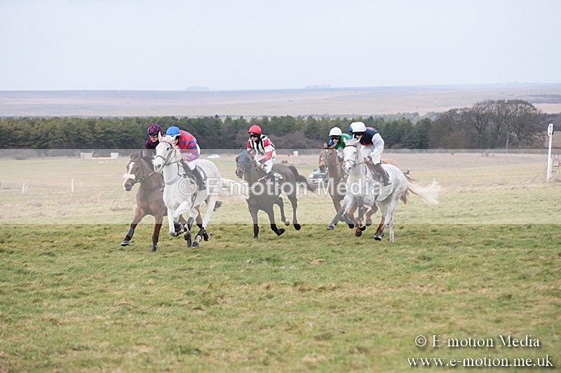 PtP 230119 243 - Royal Artillery Point-to-Point  - Larkhill  - 26/01/19