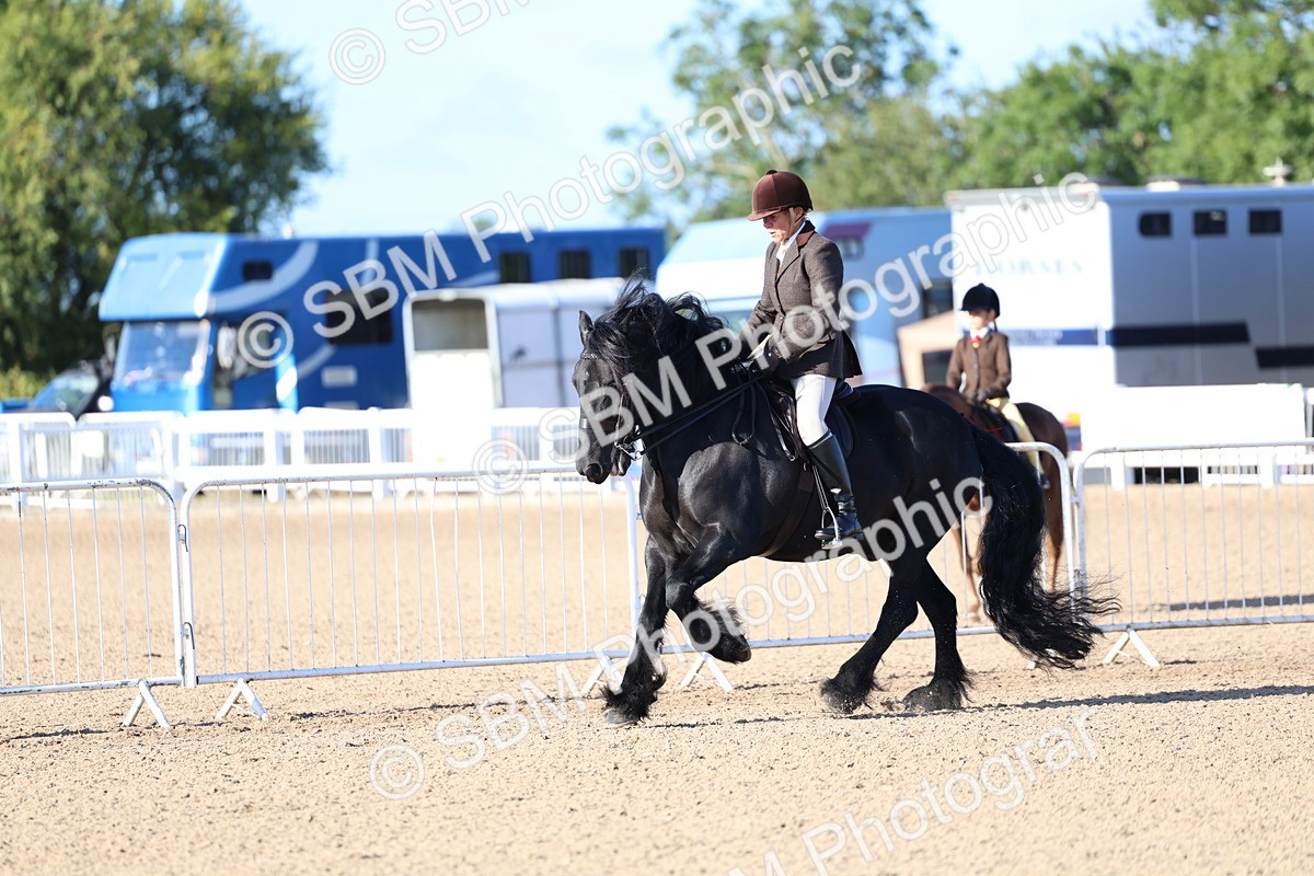 SBM_08795 - Class 302 - Ridden M&M - Large Breeds
