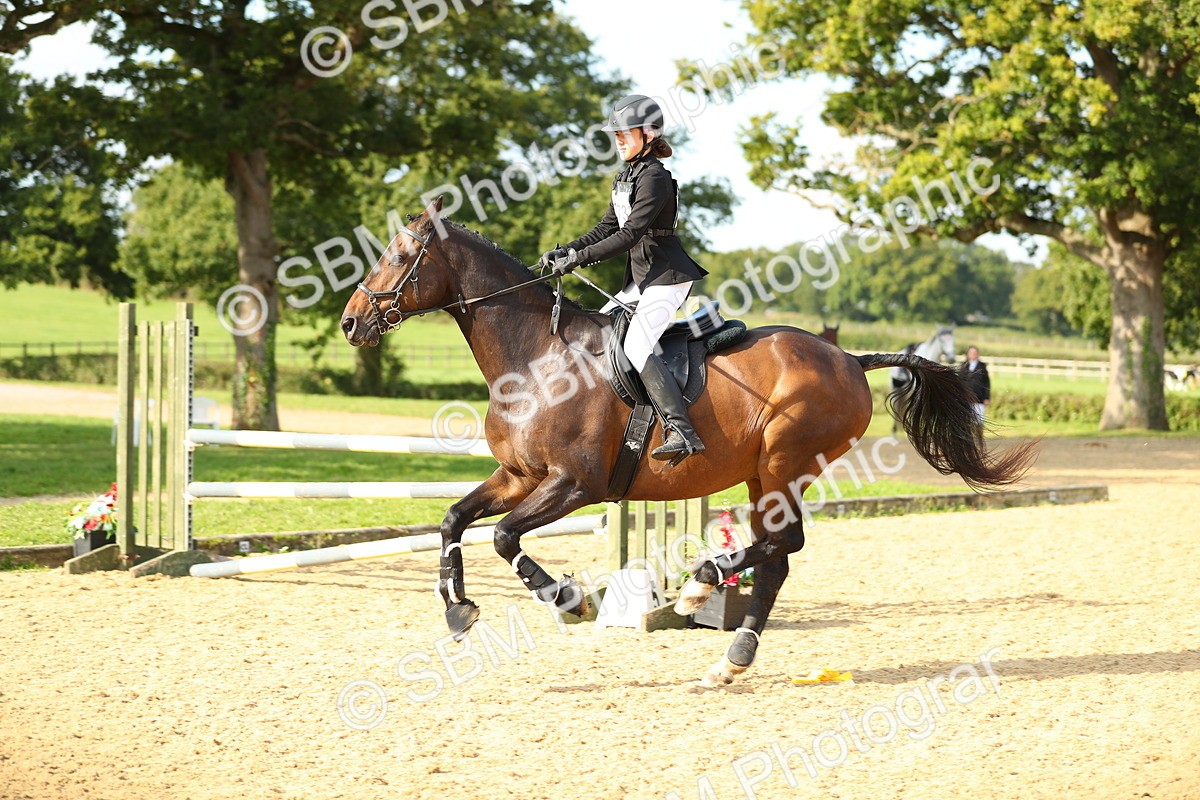 SBM_60463 - J41 - Grand Tour 95cm Championship