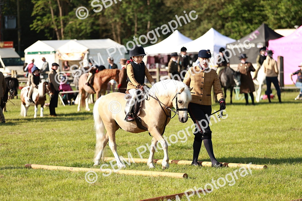 SBM_11117 - Class 106-107 - BSPS LIHS Working Sports Pony