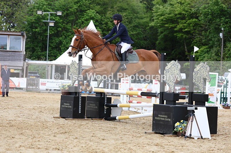 3E7A6255 - Class 4: Senior British Novice/90cm open