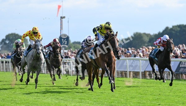 220825-208 Cape Flora - Race 5 4.10pm Assured Data Protection EBF Fillies' Handicap