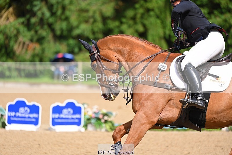 240526-161538-25355 - 263-CHILLI_MORNING_IV-Gemma_Stevens