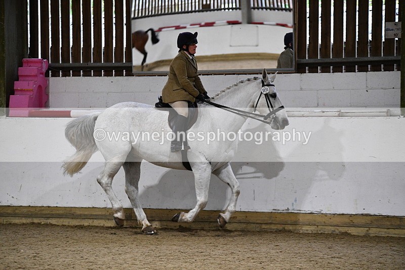 WJ5_8834 - Class 15 Ridden Show Horse