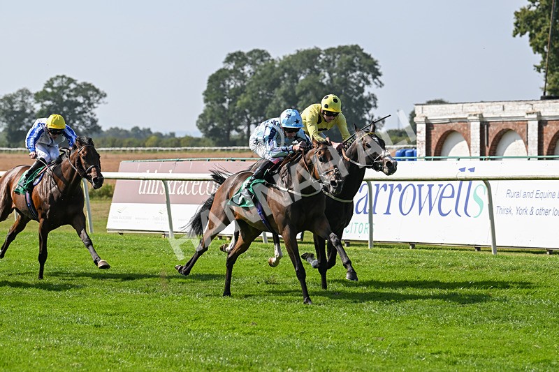 300824-Race 3-Cerulean Bay-5829 - Race 3