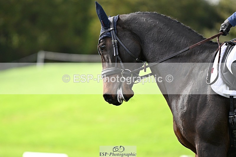 241025-122624-07292 - 553-Hanna.Bertorelli-BWTH.CLASSIC.CUT