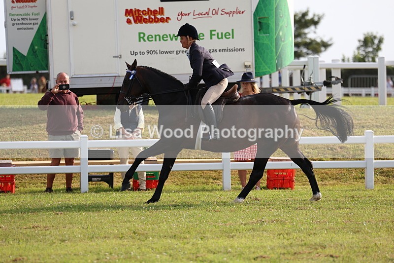 3E7A7746 - Class 1: Rising Star Small Hack/Riding Horses