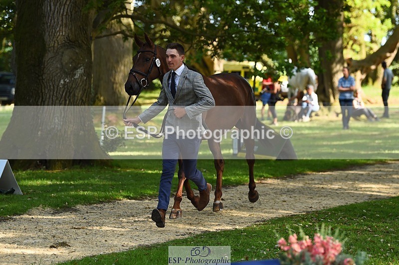 230524-170500-01278 - 153-GAMEBIRD-Max_Warburton-WEDTrotUp+DR