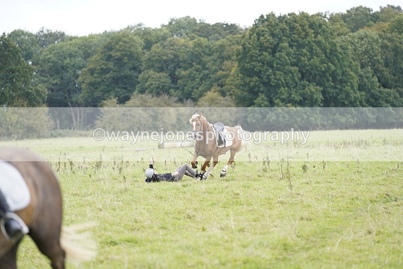 _DSC7903 - Time at Photographer 11:57 to 12:36