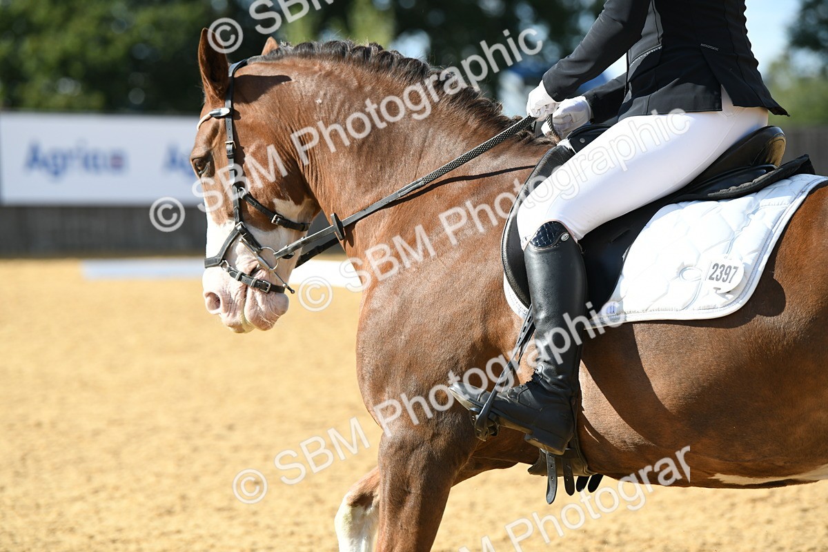 SBM_27099 - D16 - Small Tour Championship - Novice 28
