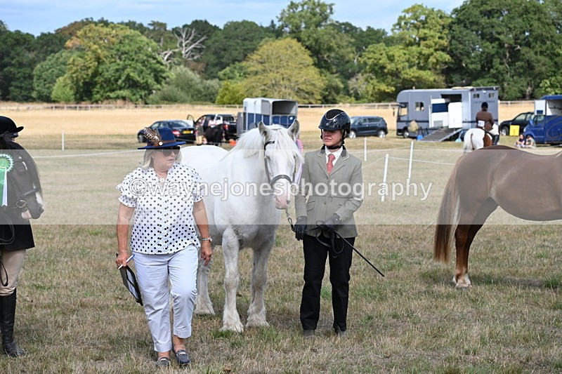 WJ6_6772 - Class 20 In-hand Cob
