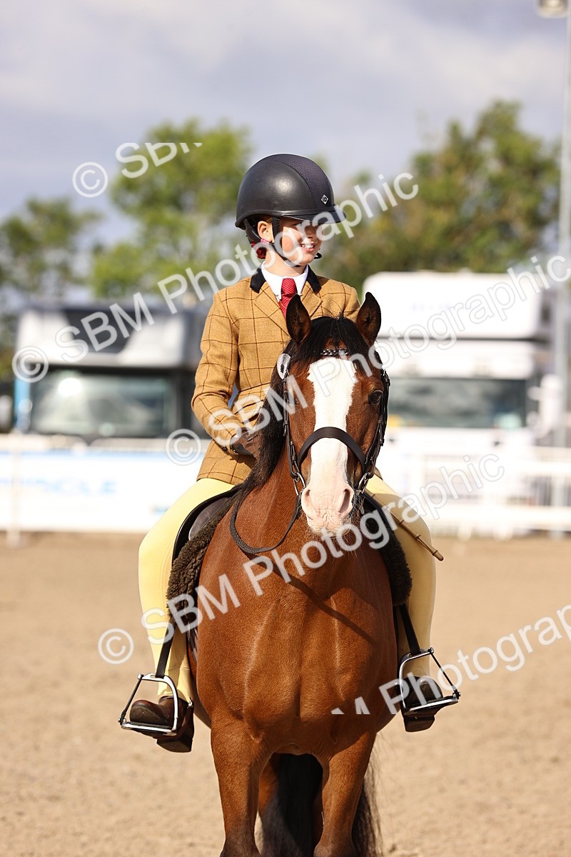 SBM_09061 - Class 403 - Grassroots Ridden - Junior