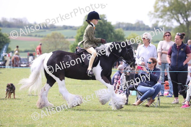20260426-2954 - Class 33 - Best Pony 14.2hh and Under