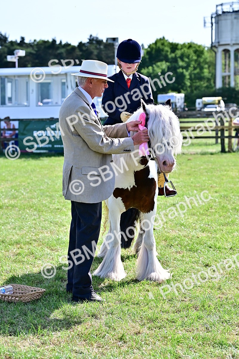 SBM_09445 - Class 63-65 - Traditional Gypsy Cobs In Hand & Ridden