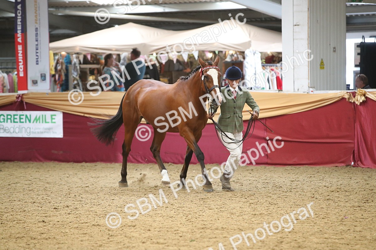 SBM_05691 - Class 9R - Regional IH Pre-Vet