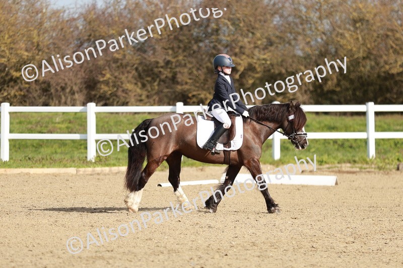 20260314-0106 - CT1 - Intro 1