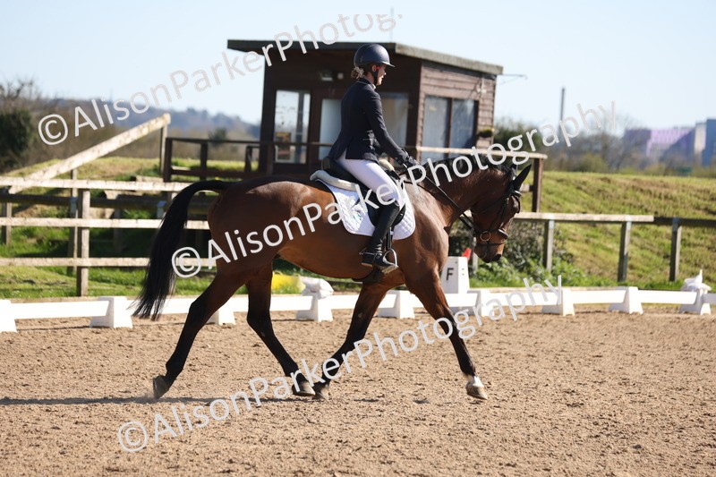 20260318-0680 - Class 6 - Novice 3