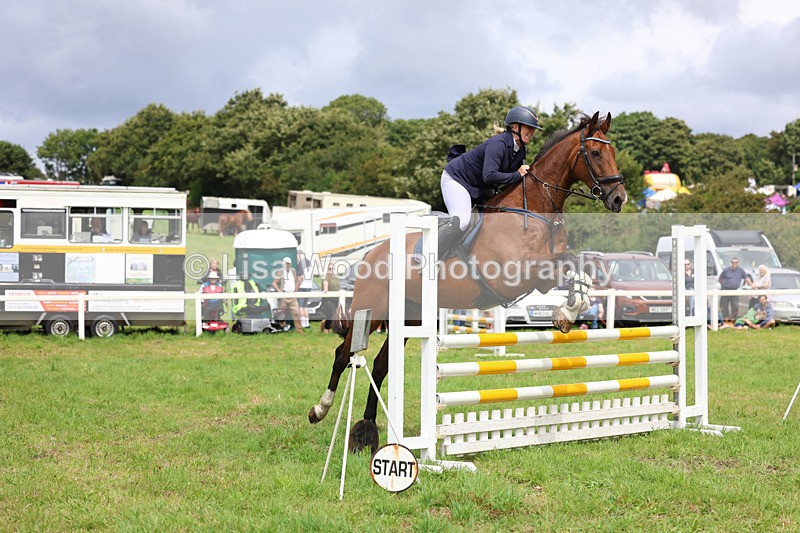 3E7A7329 - Class 5: Senior British Novice/90cm open