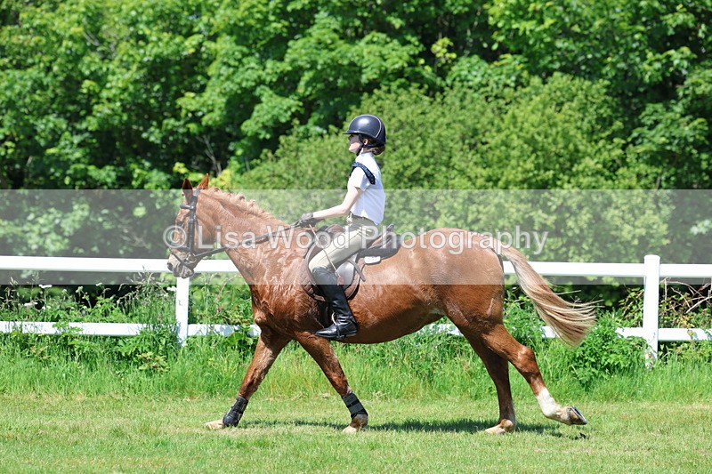 3E7A7132 - Class 30: Novice Working Hunter