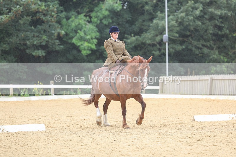 3E7A5463 - Class 2: Intro 4 2024 section B