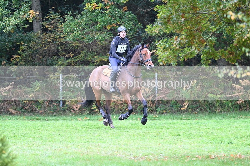 WJ7_3954 - Time 11:37 to 11:48