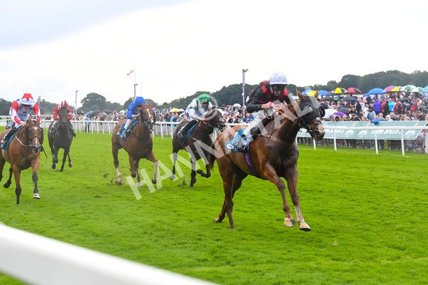 150723-Race 1-Blue For You-0087 - Race 1 2.00pm John Smith's Racing Handicap