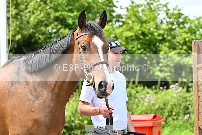 240718A-105255-01319 - Trot Up 12pm to 1pm