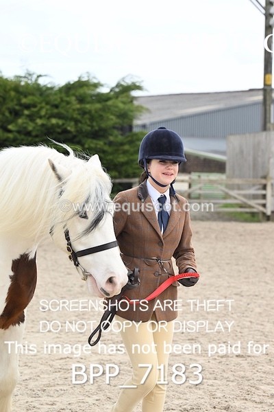 BPP_7183 - RING 1  (RIDDEN HORSES / IN HAND / VETERAN ETC)