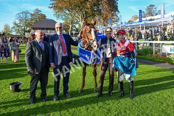 111025-Race 6-Berkshire Sundance-0681 - Race 6 Coral Racing Club Stayers Handicap at York