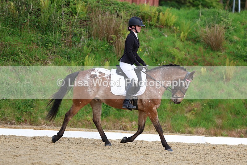 3E7A3583 - Class 2: INTRO B- INTRO 3 2024