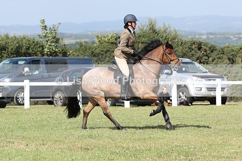 JPP_2653 - Class 20: Working Hunter 70cm