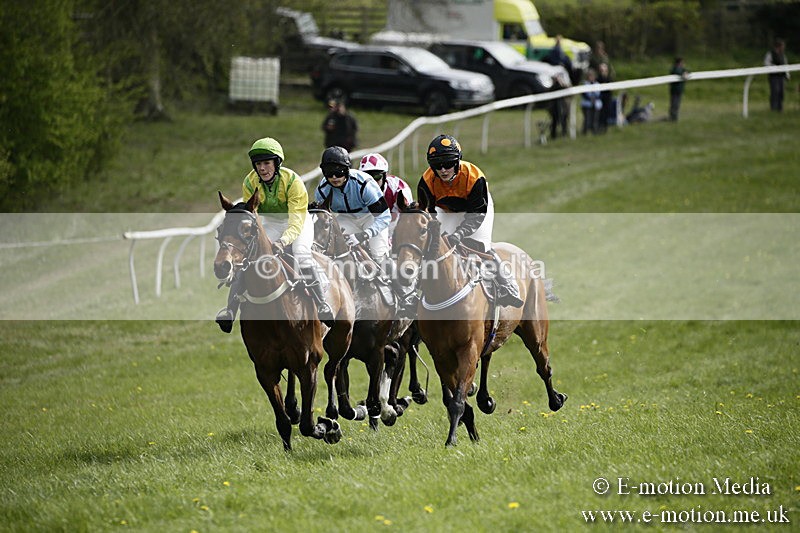 PtP 170417 285 - Old Berks Point-to-Point Lockinge 17/04/17