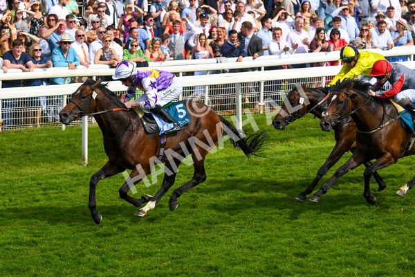 270523-Race 6-Quantum Impact-0895 - Race 6 4.25pm Royal Yorkshire Regiment Handicap