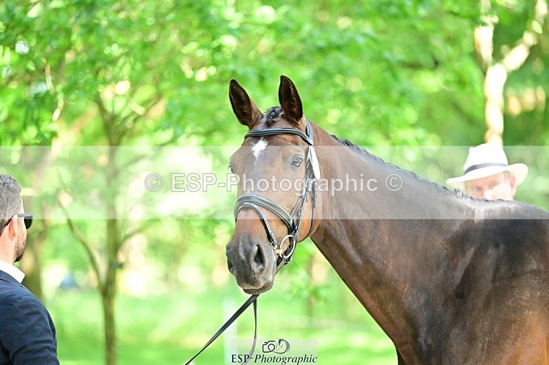 260527A-153120-01245 - C-390-Marcio.Appel