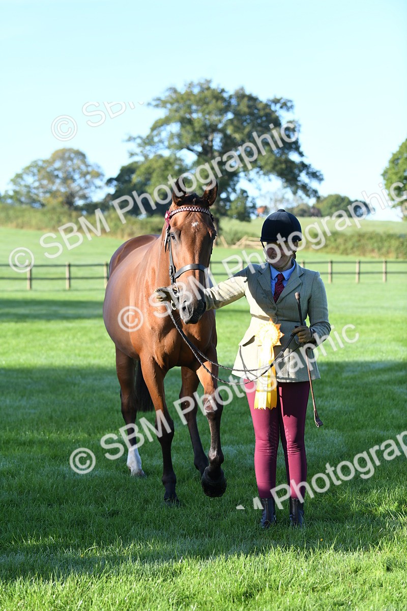 SBM_32848 - S15 - Condition & Turnout In Hand
