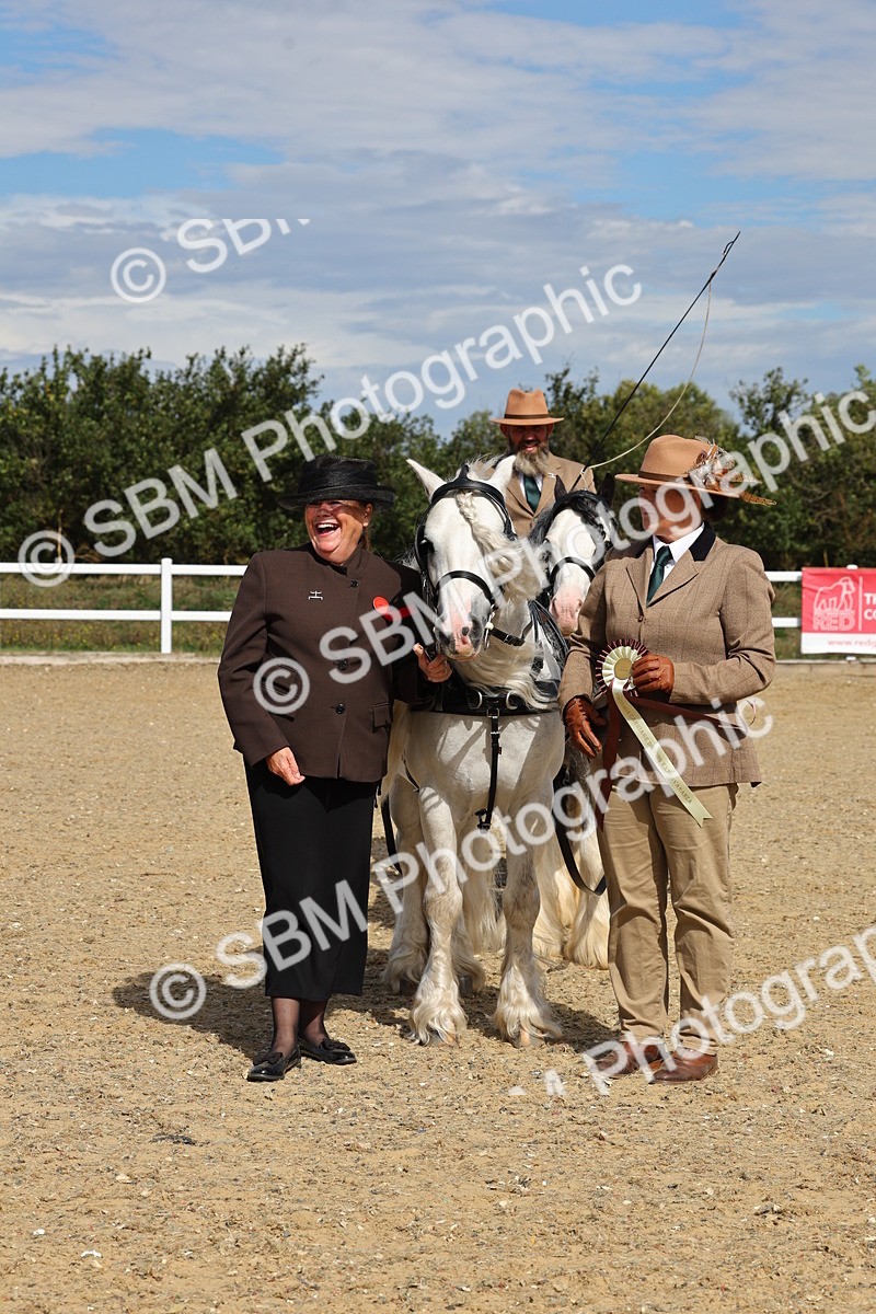 SBM_001257 - Class 16 - Pairs ,Multiples and Tandems