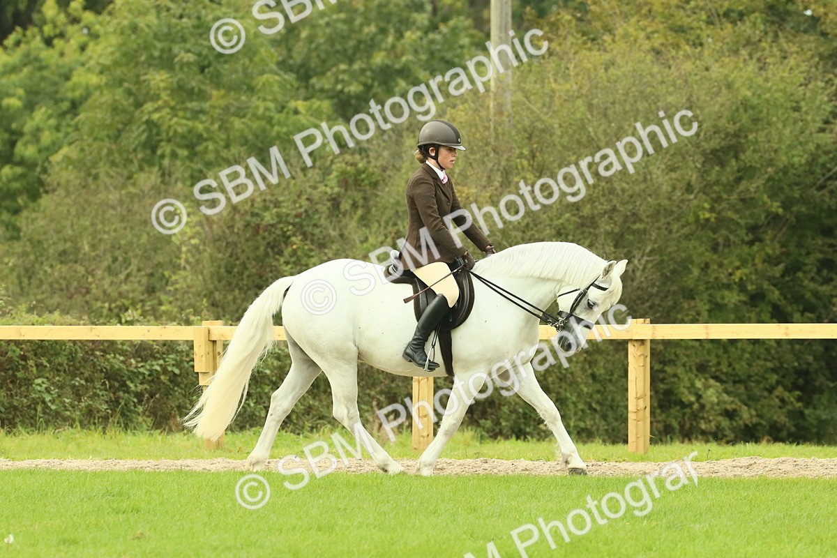 SBM_71839 - S60 - Mountain & Moorland Ridden Large Breeds