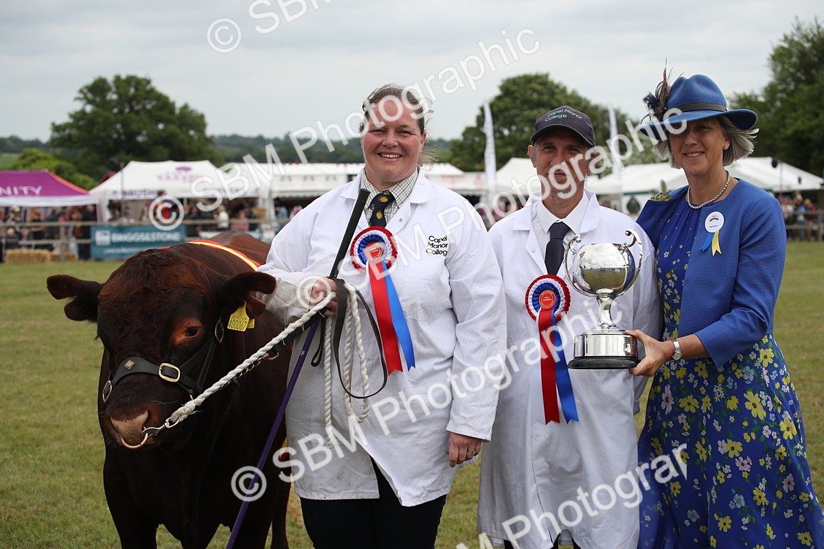 SBM_07915 - Grand Parade