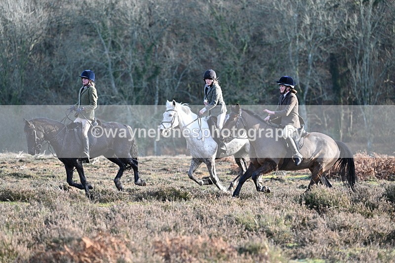 WJ7_7942 - Line 3 (no line 4 or 5)