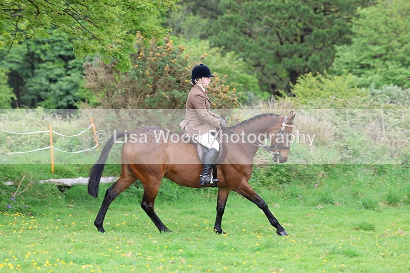 3E7A1443 - Class 8: Ridden Veteran Junoir and Senior